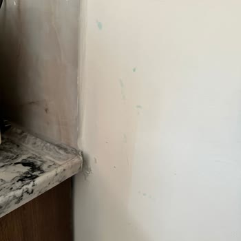 Missafir Kalmadığım Kirli Evin Temizlik Parasını Ödedim :)