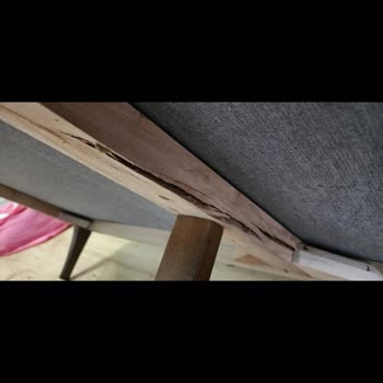 Evkur Adana Mobilya Şikayet