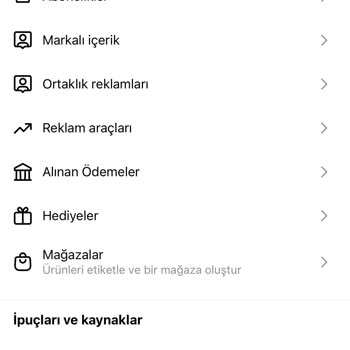 Instagram Reels İzlenmelerde Para Kazanamıyorum