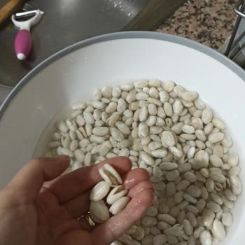 Hasata Kuru Fasulyenin Dağılması!