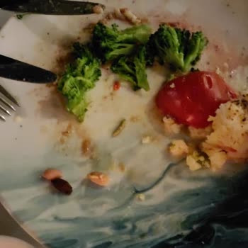 Arma Restaurant (Antalya)  Sebzeden Tırtıl Çıkması