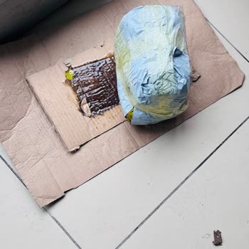 Tipalti Sistemlerinde Kayıtlı Olan Paramı 10 Gündür Şahsıma Ödemiyor.