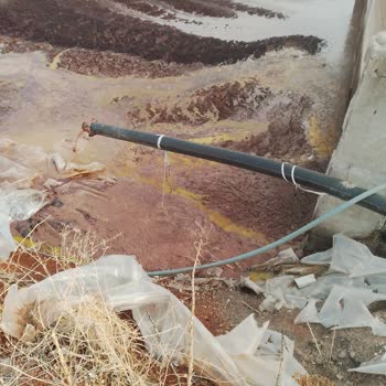 İsmetoğlu Zeytinyağı Zeytin Fabrikasında Haksız İşlem