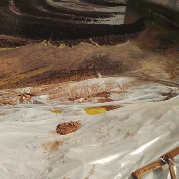 İsmetoğlu Zeytinyağı Zeytin Fabrikasında Haksız İşlem