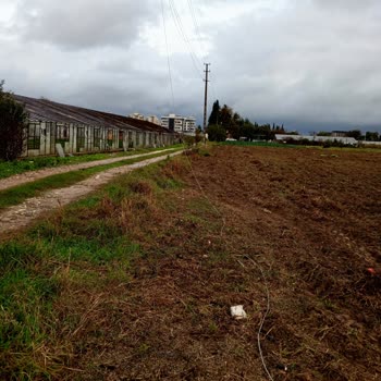 Alo 186 Bedaş Çağrı Merkezi Elektrik Teli Kopmuş