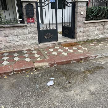 City Gross Kullanılan Kötü Alışveriş Poşeti Yüzünden Kırılan Ürünüm