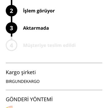 Bir Günde Kargo Online Alışverişte Kargo Çilesi