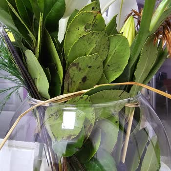 Çiçek Sepeti Ürünlerinde Eksik Ve Kusurlu Ürün Kullanıyor