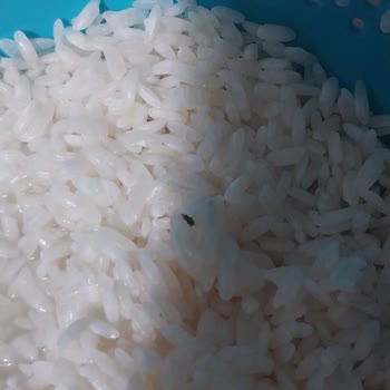 Star Çeltik Gönen Böcekli Pirinç Paketleri