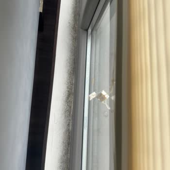 Nef İnşaat Su Alma Ve Küf