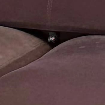 Kelebek Mobilya Koltukların Oturulamayacak Şekilde Bozulması