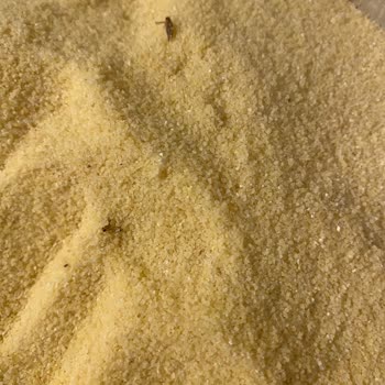 Filiz Makarna İrmik Paketinde Böcek Ve Kurt Bulundu