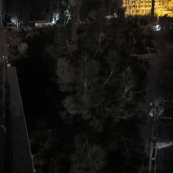 Toroslar Elektrik Dağıtım Sokak Aydınlatma Direğinin Yanmaması