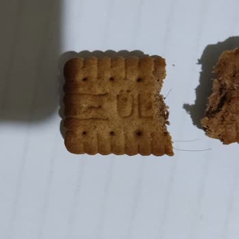 Ülker Bisküvide Kıl Çıktı