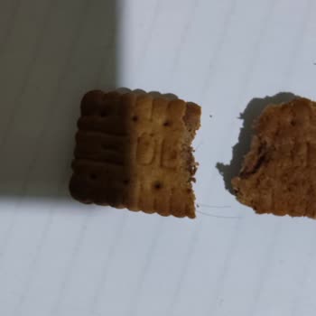 Ülker Bisküvide Kıl Çıktı