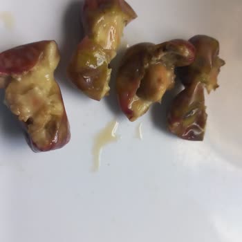 Mut Birlik Tarım Mut Birlik Çürük Ve Yumuşak Ham. Zeytin Gönderdi