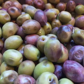 Mut Birlik Tarım Mut Birlik Çürük Ve Yumuşak Ham. Zeytin Gönderdi