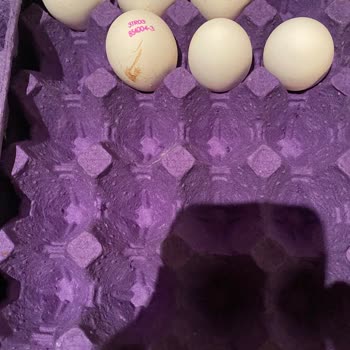 Yahyaoğlu Yumurta Ebatlarındaki Ürün Yanıltması