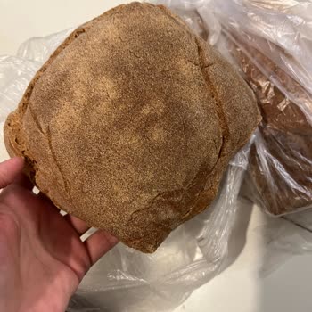 Mayasından Ekmek Siparişi