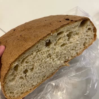 Mayasından Ekmek Siparişi