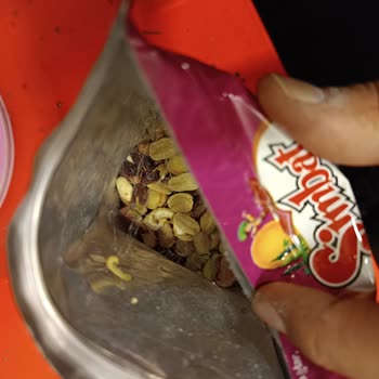 Simbat Kuruyemiş Taze Olması Beklenen Kuruyemişte Kurt Şoku!