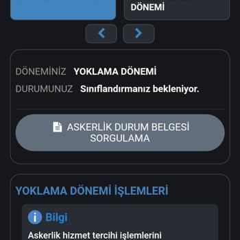 e-Devlet (Turkiye.gov.tr) Askerlik Sınıflandırma Sorunu