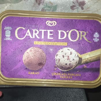 Algida Dondurmanın İçinde Sinek Çıktı