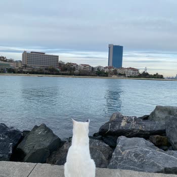 Vega Spor Ugg Terlik Siparişim İkidir Defolu Geliyor!
