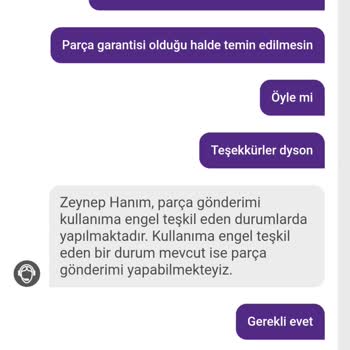 Dyson Ve Çifte Standardı