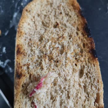 İstanbul Halk Ekmek Halk Ekmeğinden Değişik Kırmızı Bir Şey Çıktı