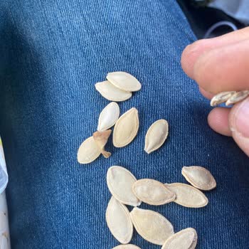 A101 Sorumsuzluğu! Her Zaman Aynı Olay