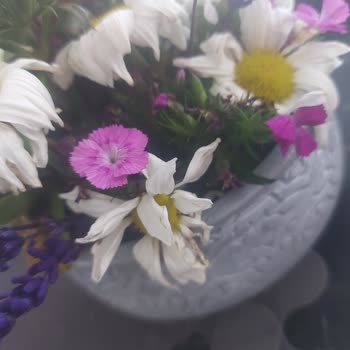 Çiçek Sepeti Gönderilen İle Görsel Aynı Değil