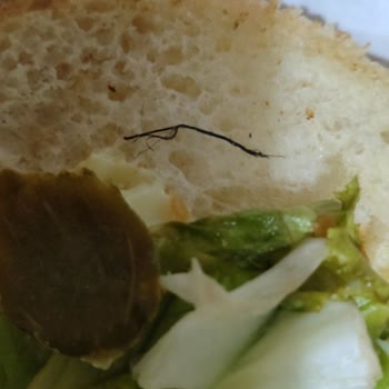 Trendyol Express Hamburger İçinden İp Çıktı