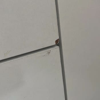 Evkur Çıkmazı Ve Ulaşılamayan, Bir Türlü Teslim Edilemeyen Gardırop