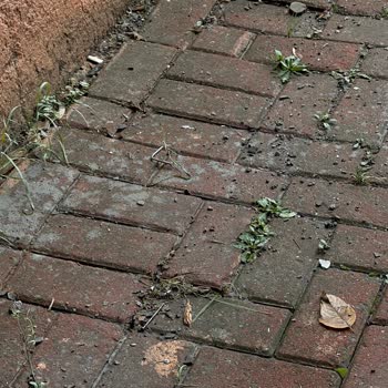 Çekmeköy Belediyesi İnşaat Çalışması Ve Çevreye Verdiği Zararlar