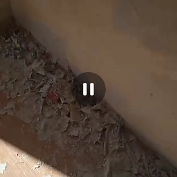 Marshall Boya Duvar Boyası Kabusum!