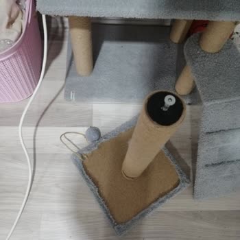 Nursoft Kedi Evim Kırıldı