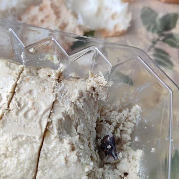 Seyidoğlu Gıda Seyidoğlu Helvadan Antep Fıstığı Yerine Taş Çıktı