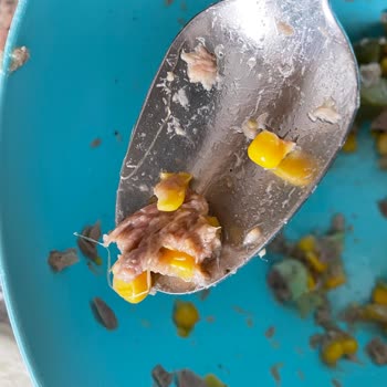 Dardanel Ton Balığı İçerisindeki Maddeler