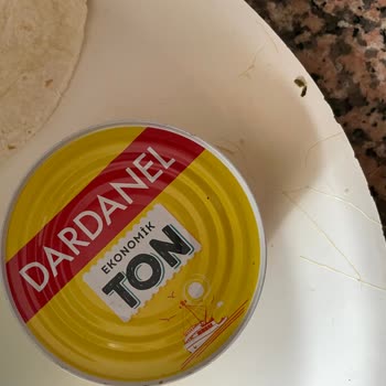 Dardanel Ton Balığı İçerisindeki Maddeler