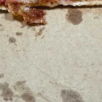 Domino's Pizza Pizzadan Saç Çıktı