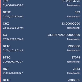 Bitexen Coinlerimin Yok Olması