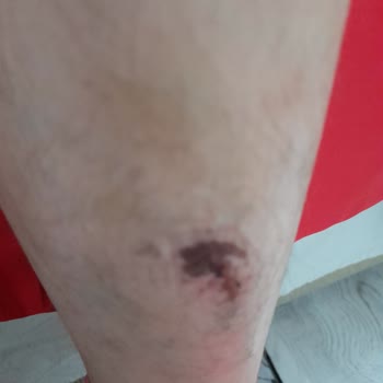 Şehit Jandarma Er Halim Çimen İlkokulu Öğretmen Değişimi