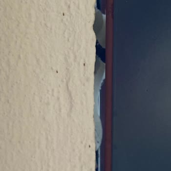 Kaya Camlama İşçilik Ve Satış Sonrası Servis