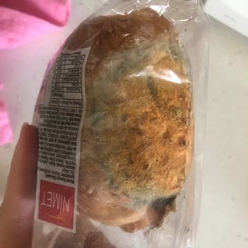 A101 Tarihi Geçmemiş Paketi Açılmamış Ürün Küflendi