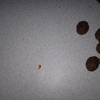 Nestle Kurtlu Ürün Satışı
