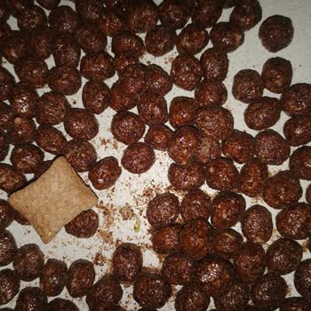 Nestle Kurtlu Ürün Satışı