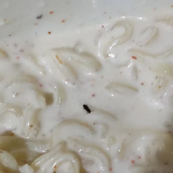İndomie Noodle'dan Böcek Çıktı.