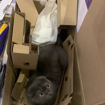 Dyson V12 Kutudan Çıkmayan Parçalar