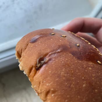 Nimet Gıda Marketten Alınan Ekmekte Sinek Bulundu